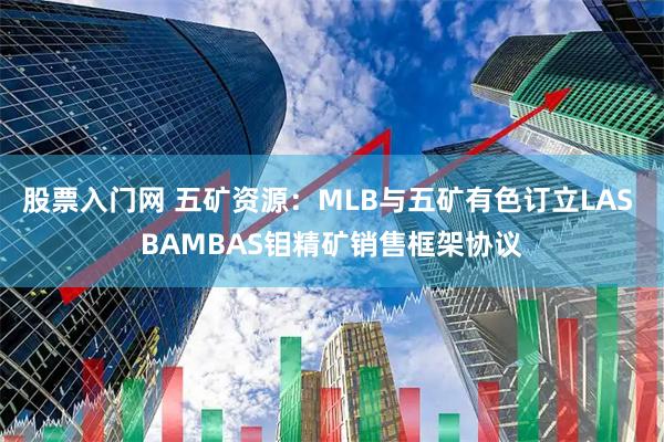 股票入门网 五矿资源：MLB与五矿有色订立LAS BAMBAS钼精矿销售框架协议